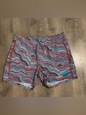 Cotopaxi Swim Trunks Size Large Striped Multicolor Lined Elastic Waist NWT